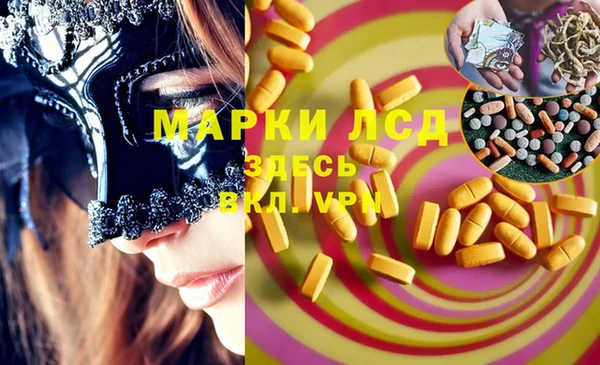 ГАЛЛЮЦИНОГЕННЫЕ ГРИБЫ Вязники