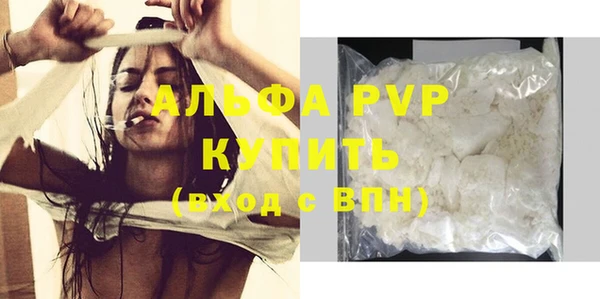 гашик Вяземский