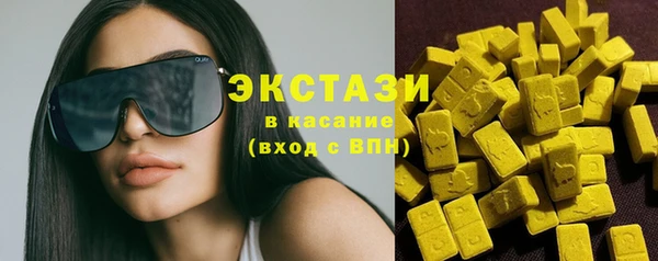 гашик Вяземский