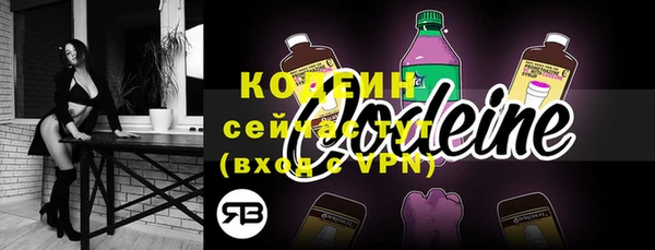 гашик Вяземский