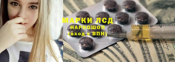 гашик Вяземский