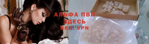 ГАЛЛЮЦИНОГЕННЫЕ ГРИБЫ Вязники