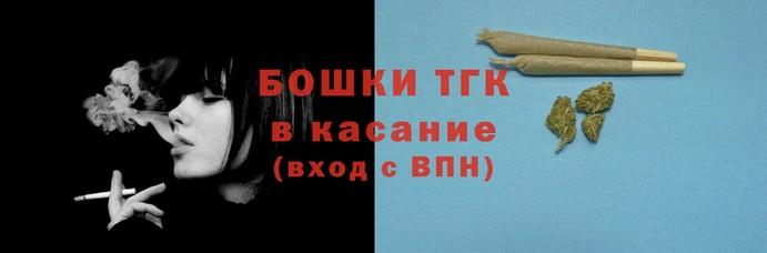 гашик Вяземский
