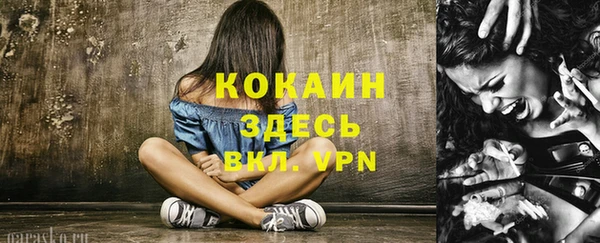гашик Вяземский