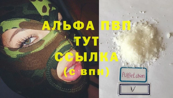 гашик Вяземский