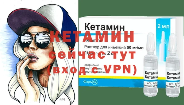 гашик Вяземский