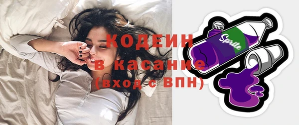 гашик Вяземский