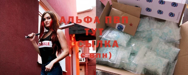 ГАЛЛЮЦИНОГЕННЫЕ ГРИБЫ Вязники