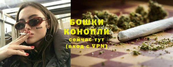 гашик Вяземский